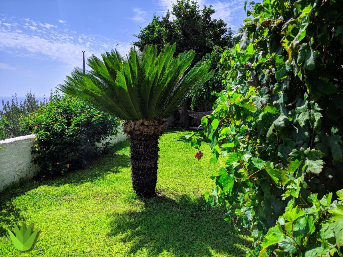 Villa Delle Agavi Vietri Kültér fotó