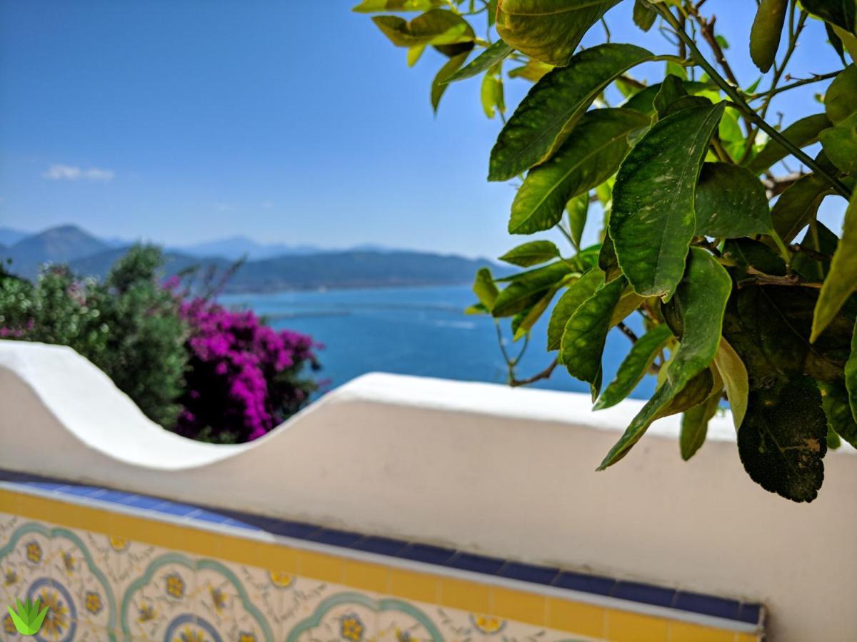 Villa Delle Agavi Vietri Kültér fotó